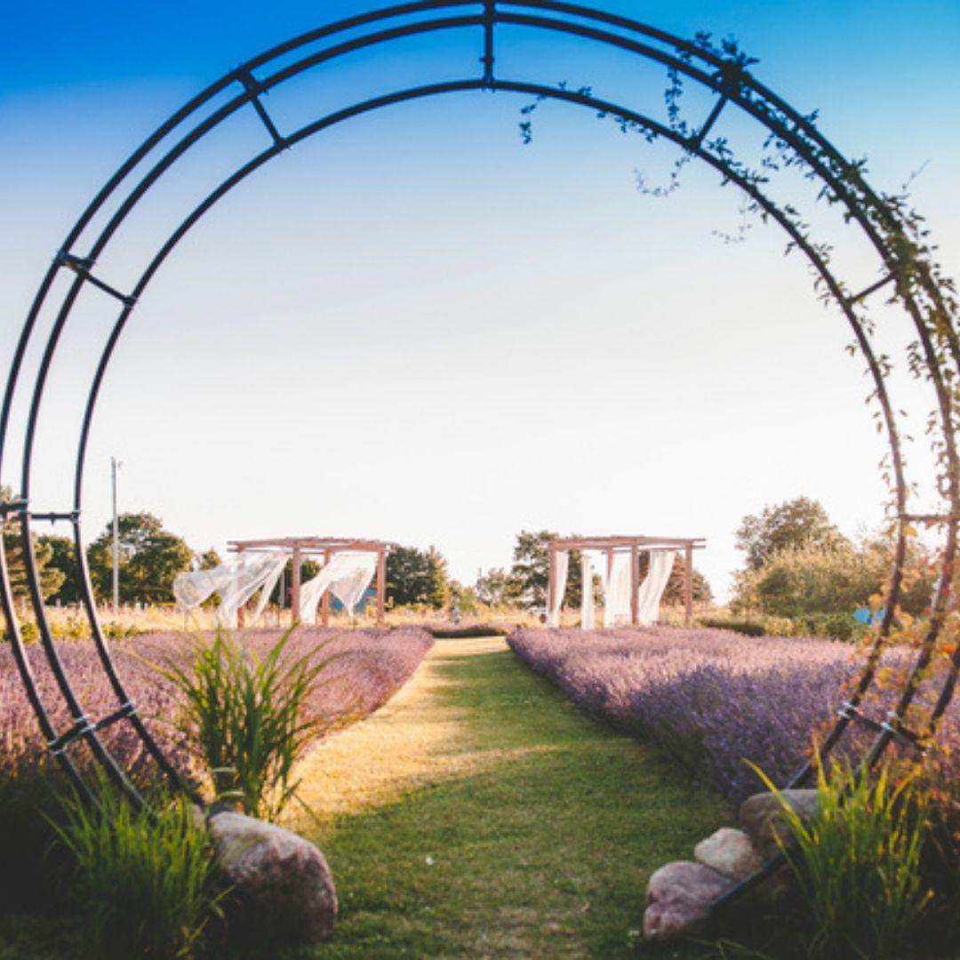circular archway to a lavender field