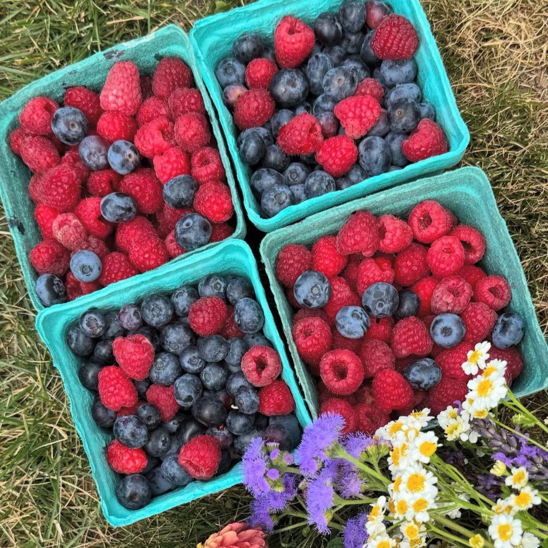 4 pints of raspberries and blueberries