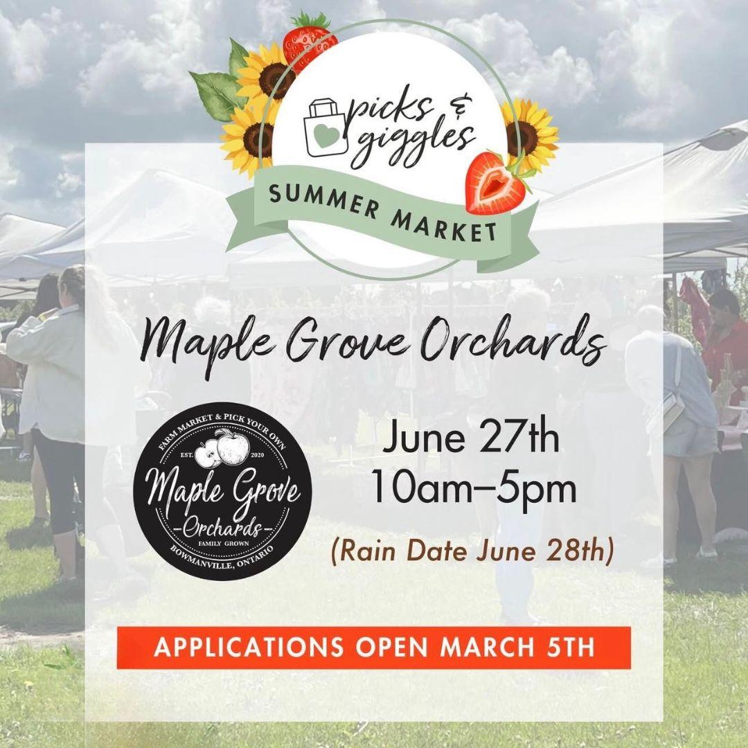 Faded background image of an outdoor market with tents and people. Picks and Giggles Summer Market Logo is a circle surrounded by sunflowers and strawberries. Text box reads: Maple Grove Orchards, June 27, 10 am to 5 pm, rain date June 28, applications open March 5  