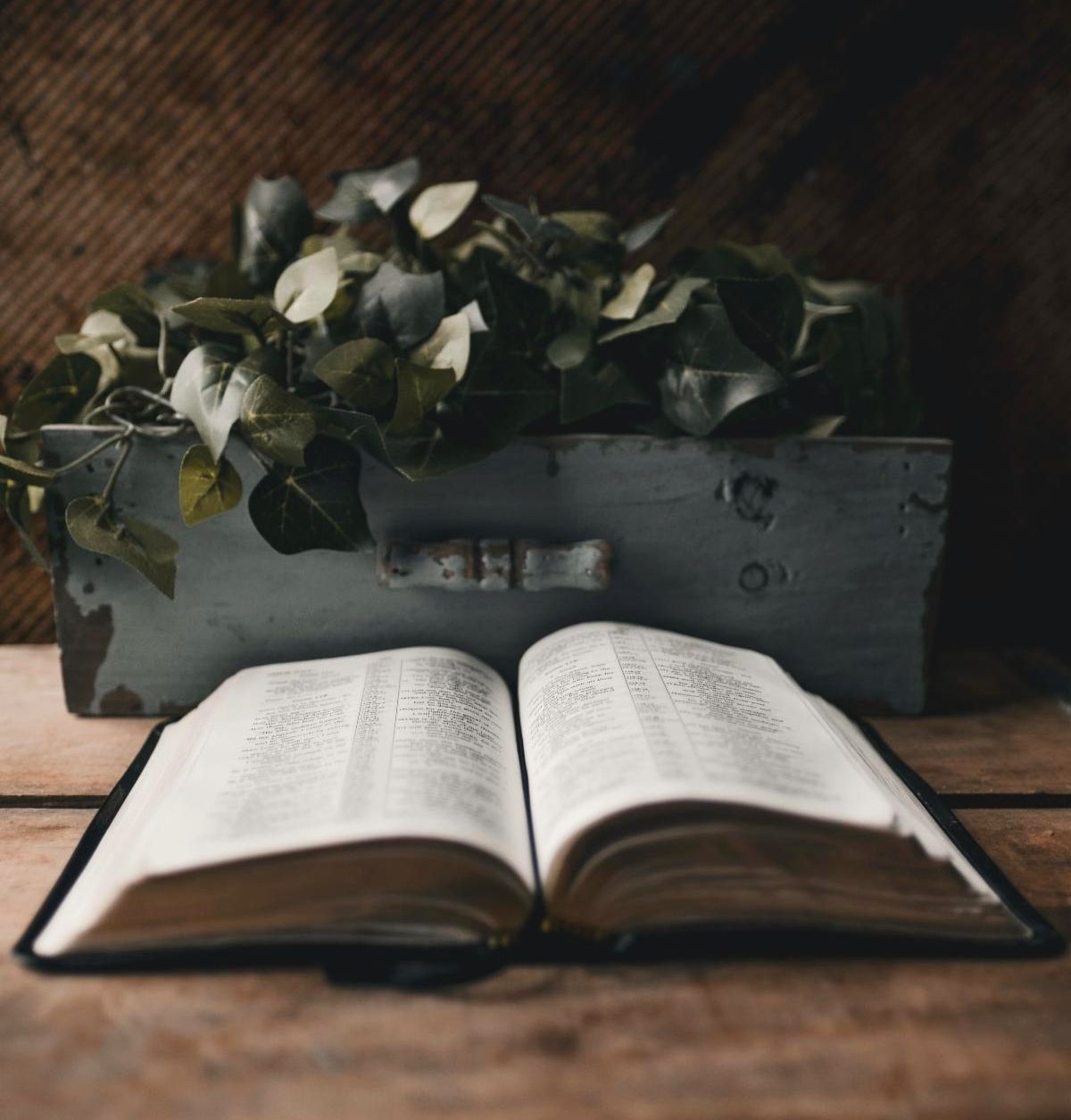 bible with box greenery