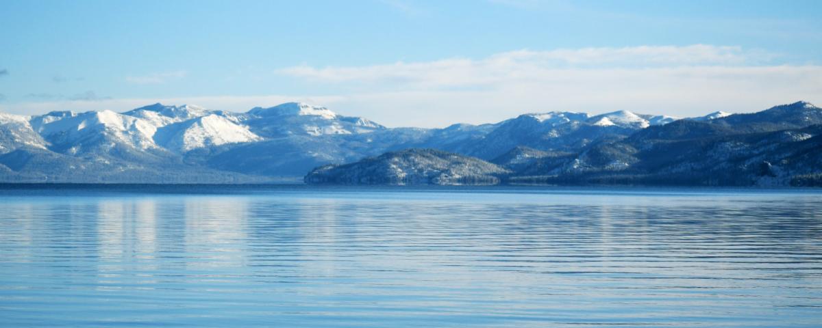 Wishing for a snowy winter