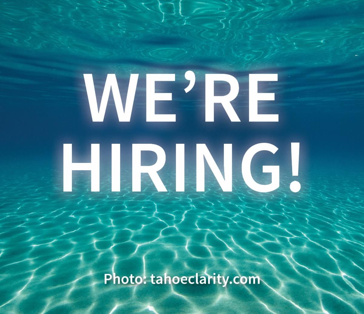 The League is hiring!
