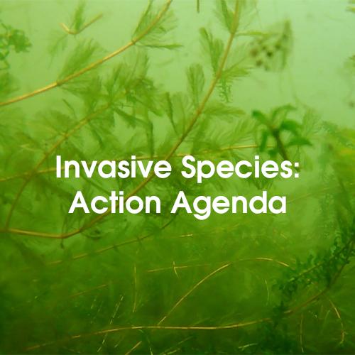 Invasive Species Action Agenda