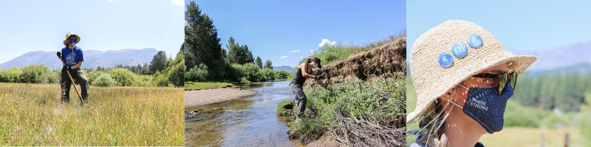 Tahoe Forest Stewardship Day - Summer 2020