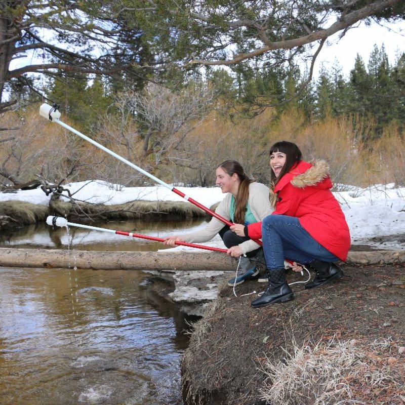 Citizen scientists at work