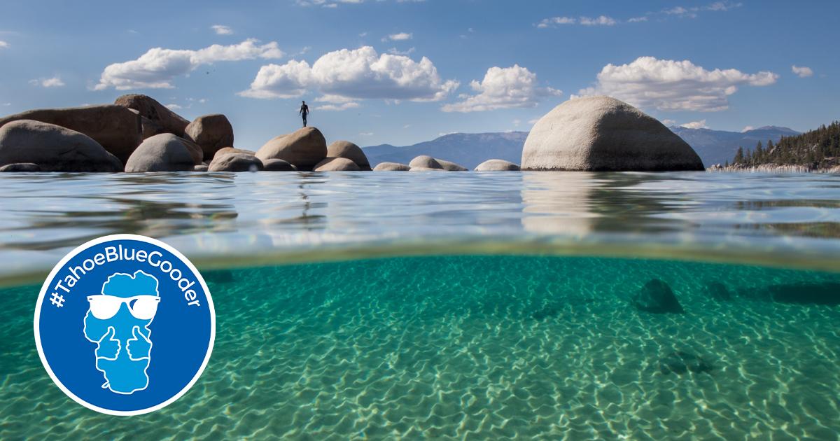 #TahoeBlueGooder