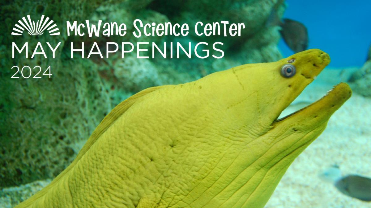 Updated: May Happenings at McWane Science Center