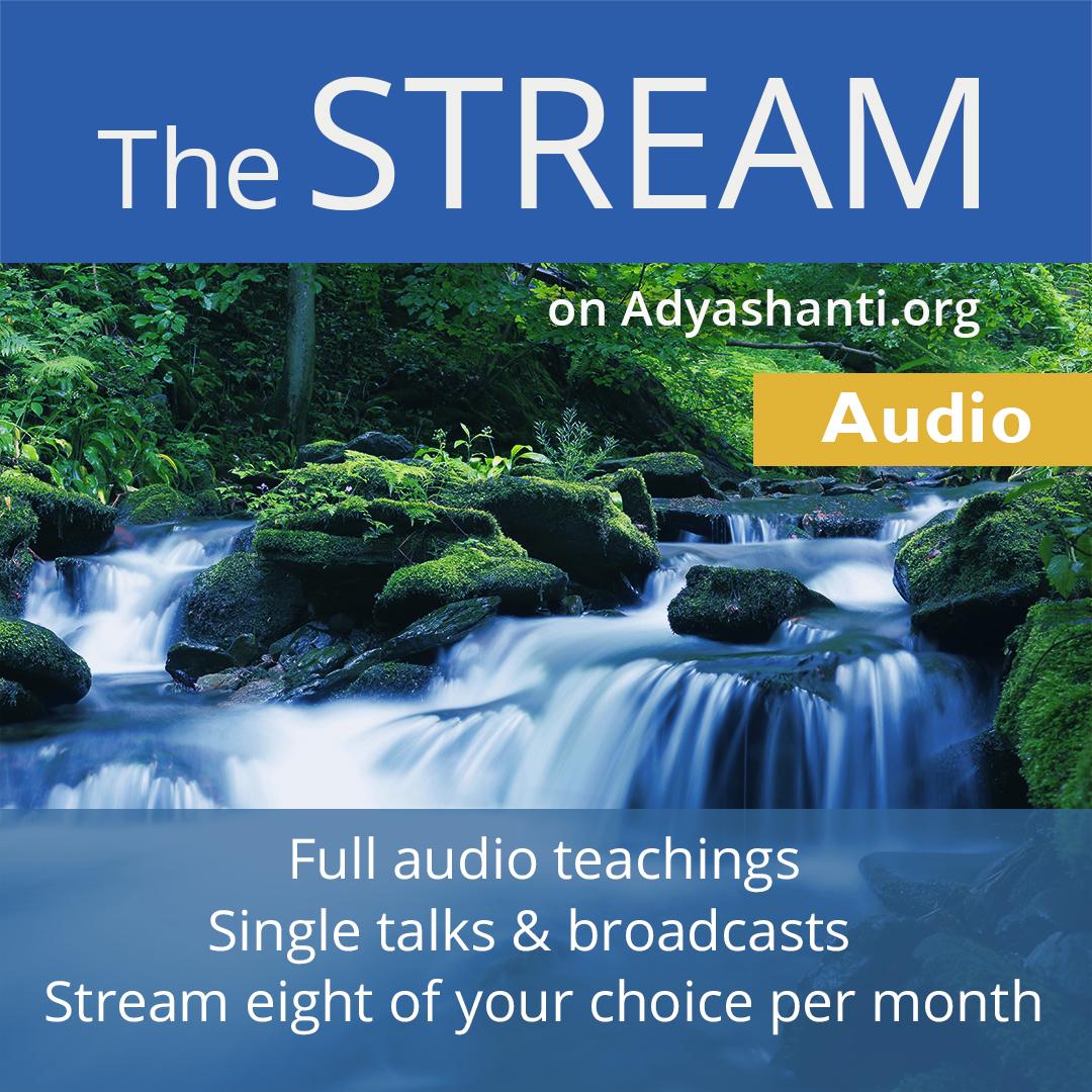 The Stream Audio Subscriptions