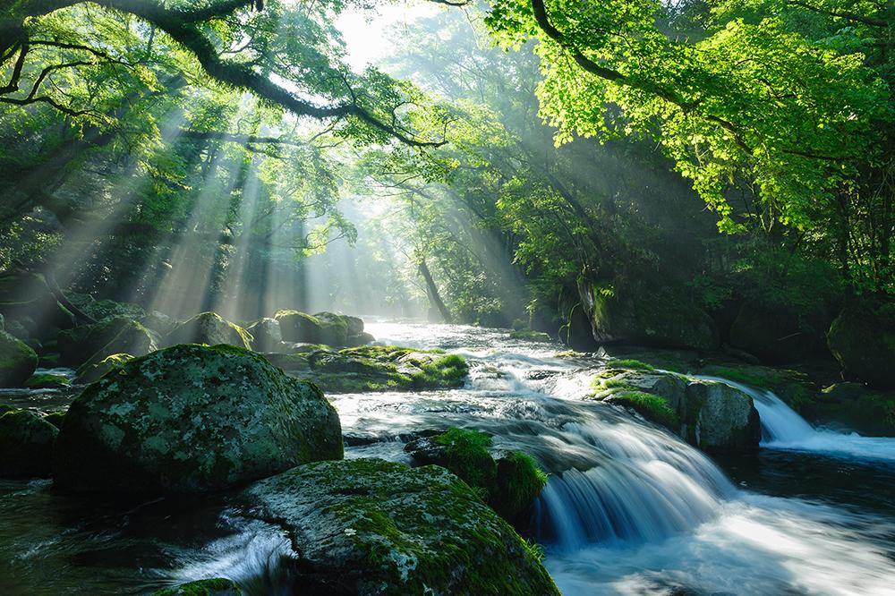 Mountain stream with sunlight