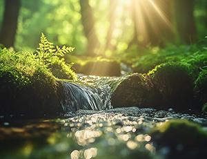 Caring for the Light