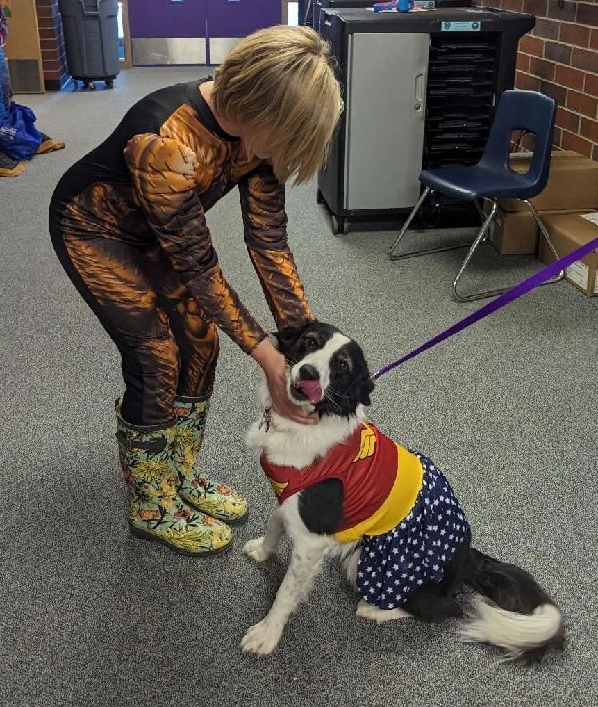 An elementary school student dressed up as a Marvel superhero pets a border collie dressed as Wonder Woman.