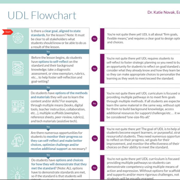 screenshot of a UDL flowchart handout