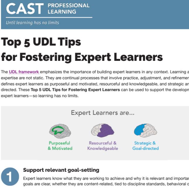 screenshot of a handout on 5 tips for fostering expert learners