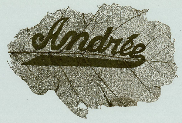 Daniels Energy Special Customer Savings News