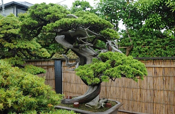 Daniels Energy Special Customer Savings News