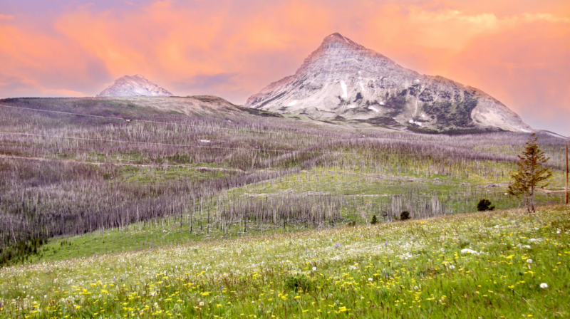 Daniels Energy Special Customer Savings News