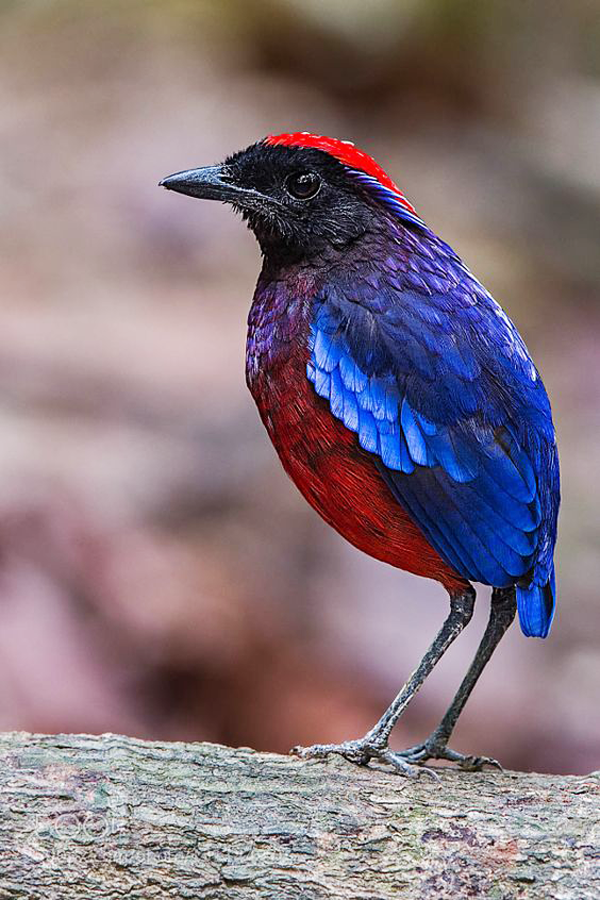 Daniels Energy Special Customer Savings News