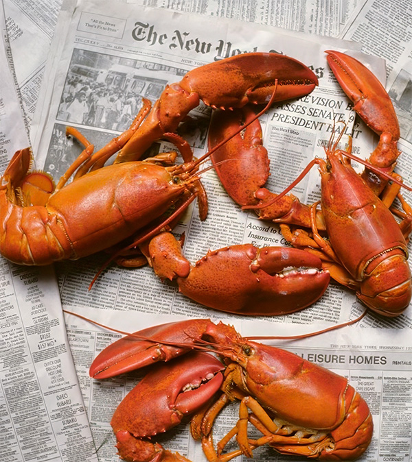 Daniels Energy Special Customer Savings News