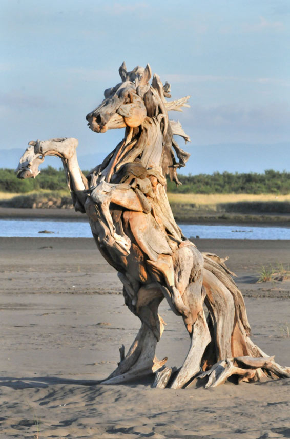 Daniels Energy November 2016- Special Savings Offers