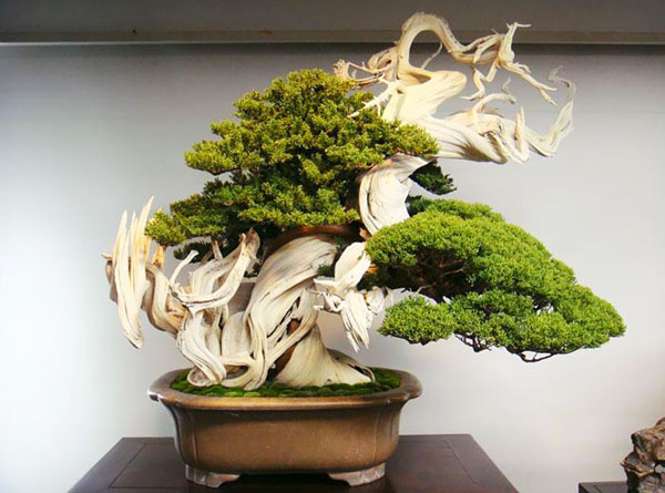 Daniels Energy Special Customer Savings News