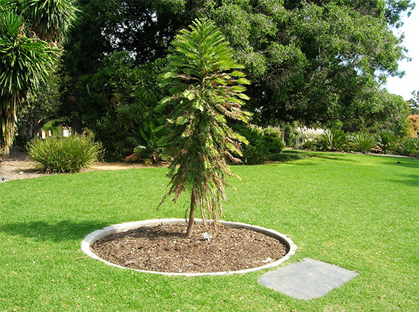 Daniels Energy Special Customer Saving News January 2022