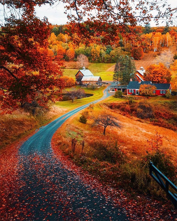 Daniels Energy Special Customer Savings News