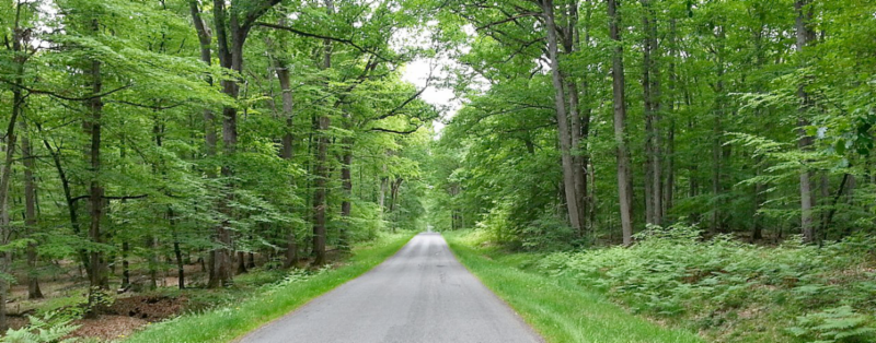 Daniels Energy Special Customer Savings News