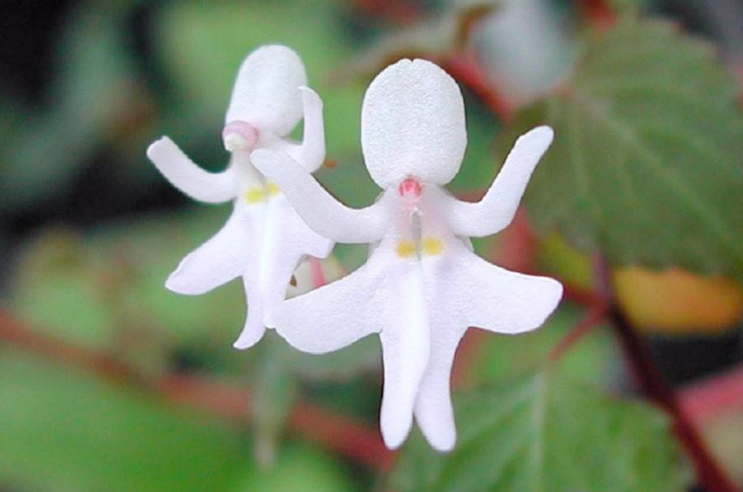 Daniels Energy Special Customer Savings News