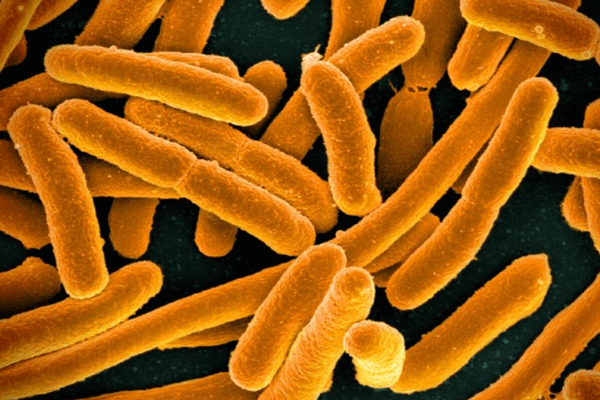 Daniels Energy Special Customer Savings News