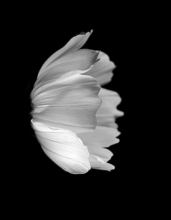 Daniels EnergySpecial Customer Savings News