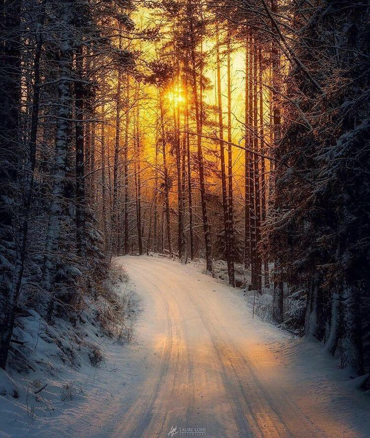 Daniels Energy Special Customer News