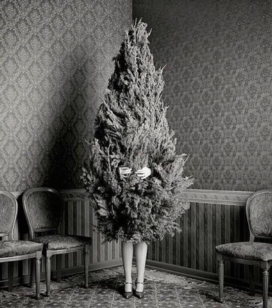 Daniels Energy Special Customer News Offers