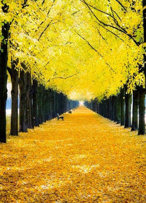 Daniels Energy Special Customer Savings News