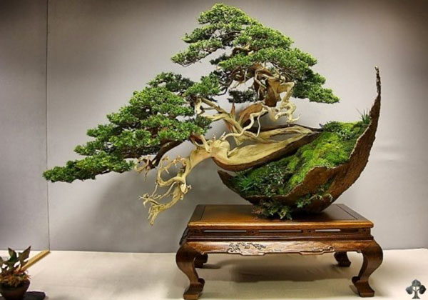 Daniels Energy Special Customer Savings News