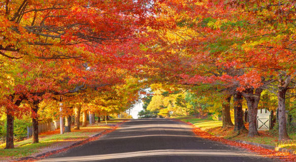 Daniels Energy October Savings Special  Offer