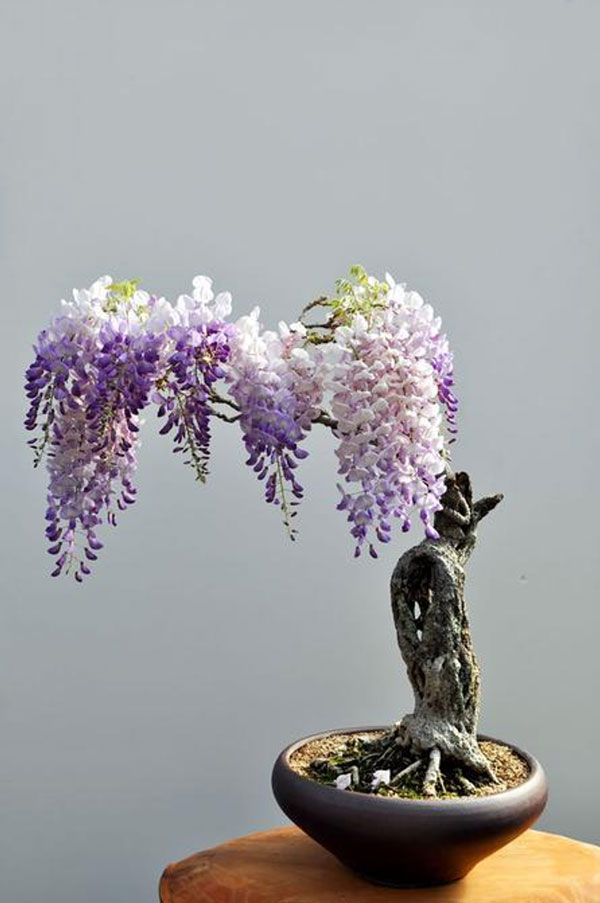 Daniels Energy Special Customer Savings News