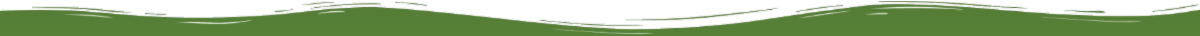 divider 2.png