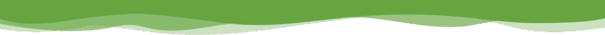divider 1.png