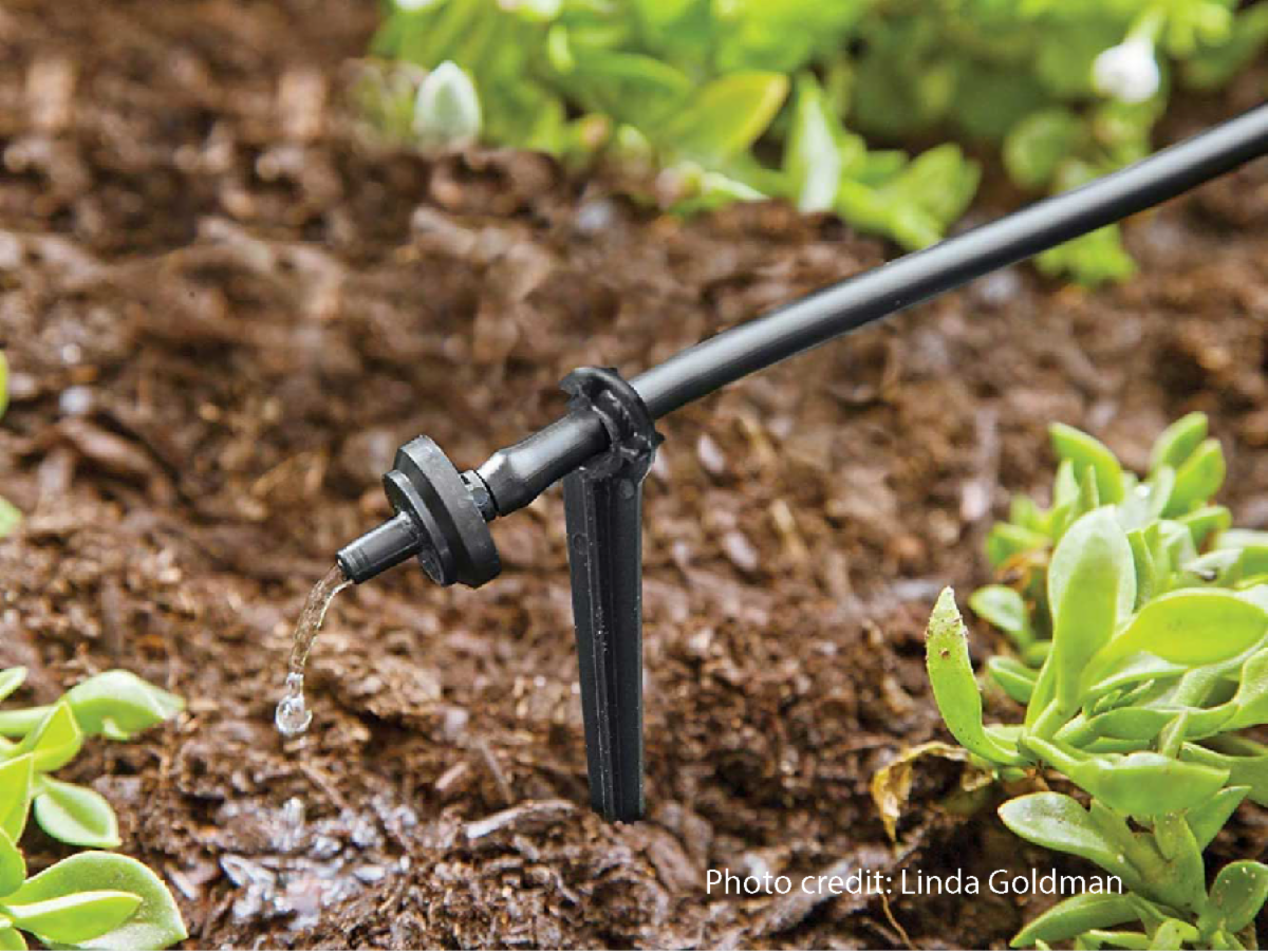 Image of a drip irrigation emitter.