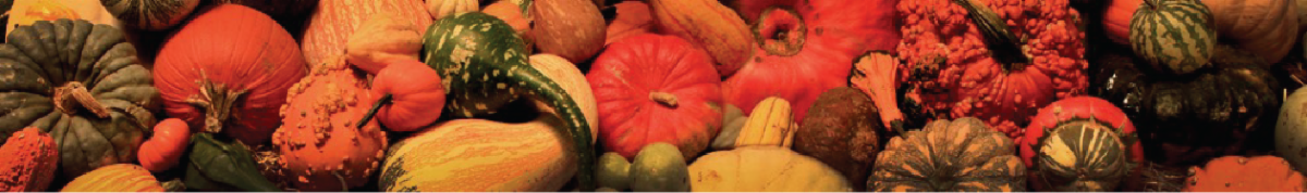 Image of pumpkins.