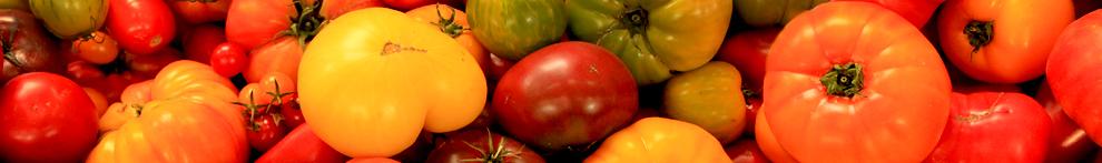 tomatoes heirloom festival