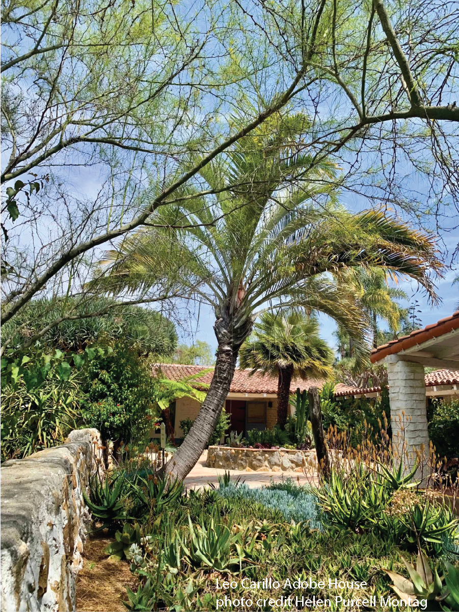 photo of historic adobe house and landscape 