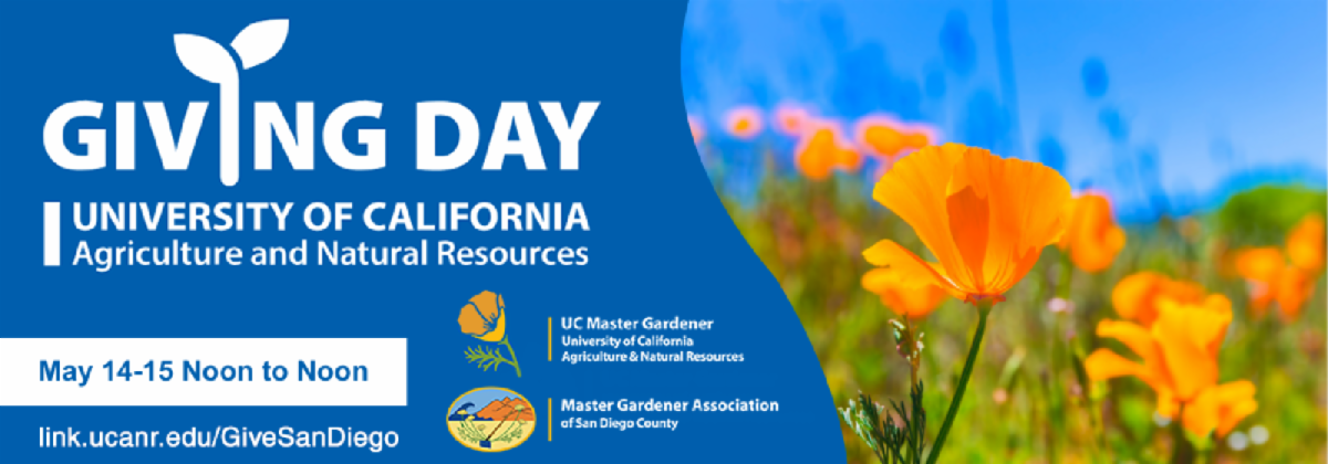 UC ANR image for Giving Day. Link to donate to San Diego Master Gardeners.