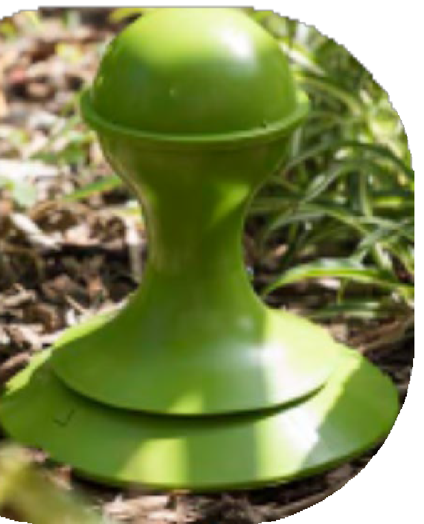 Image of an ant bait station