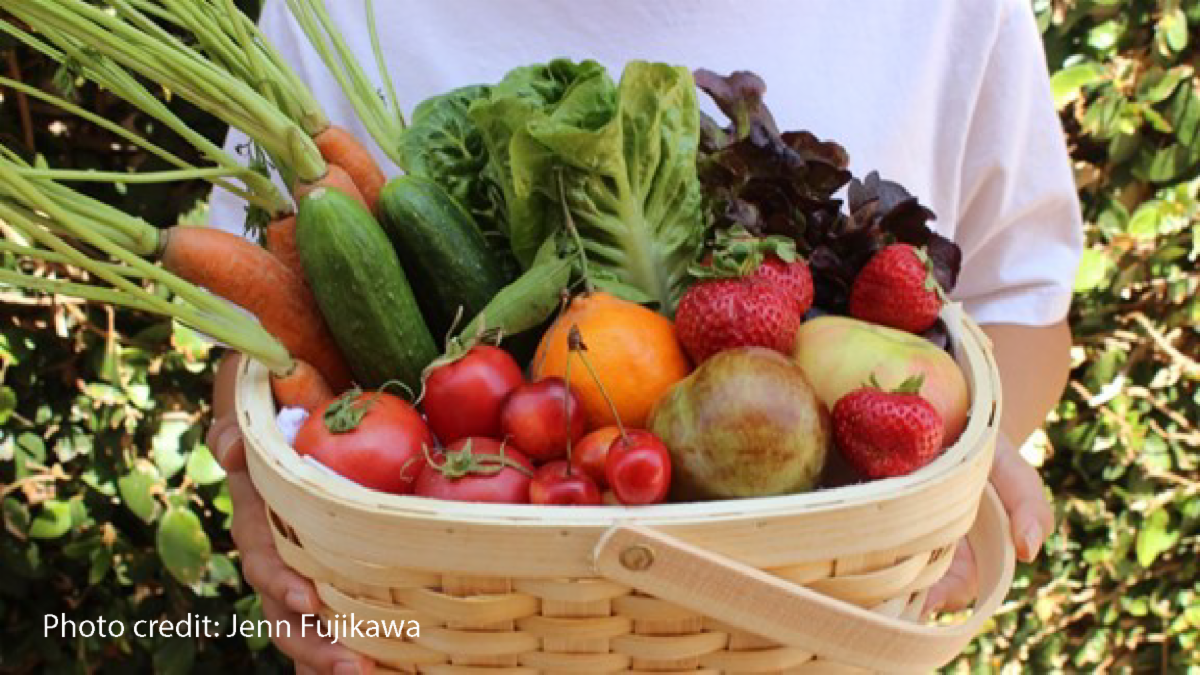 photo of harvest basket filled with warm season vegetables