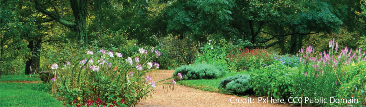 A winding garden path through flowering plants and trees. Credit:  PxHere, CC0 Public Domain