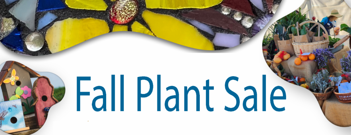 Fall Plant Sale