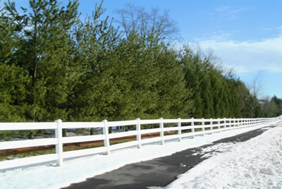 snowy-sidewalk.jpg
