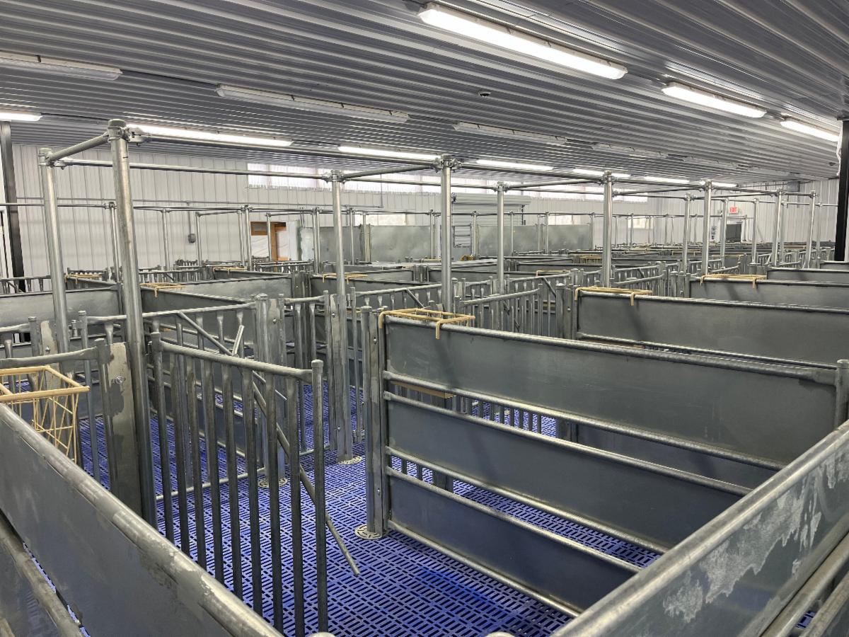 New Sire Center Pens