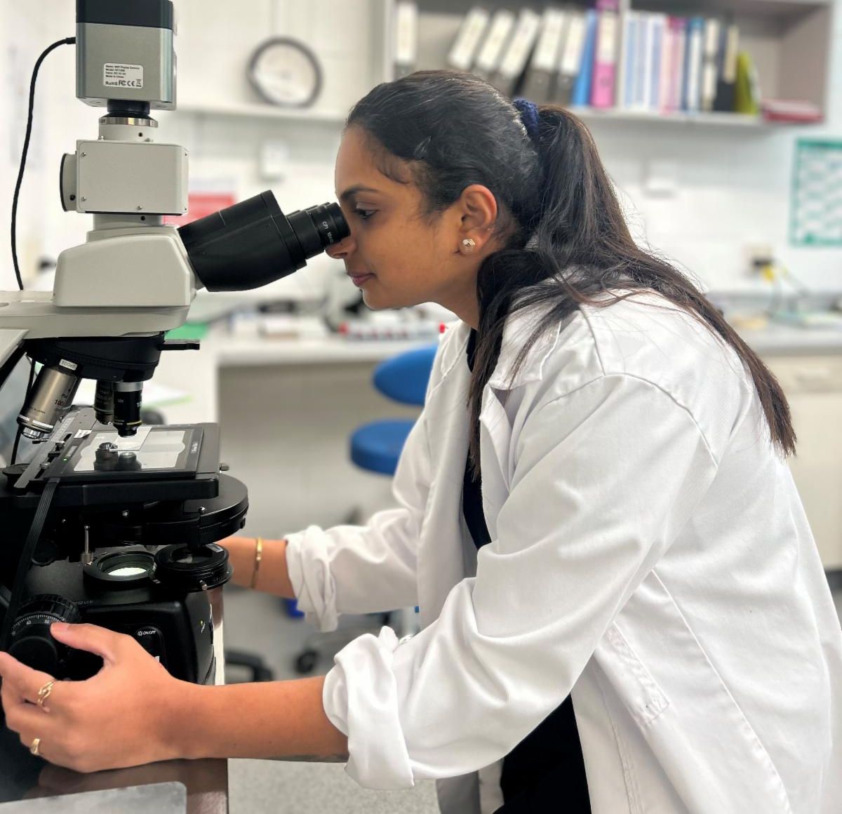 staff looking in microscope